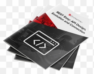Introduction To Rest Apis - Chakray Graphics png
