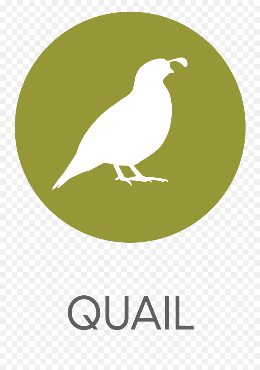 Customized Nutrition - Solidgold Language Png,Quail Icon