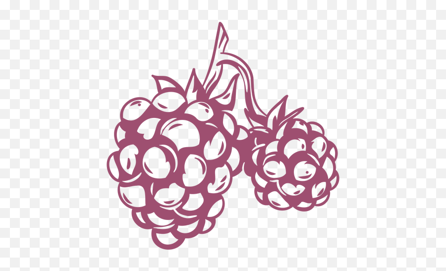 Raspberry Graphics To Download - Fresh Png,Raspberry Icon