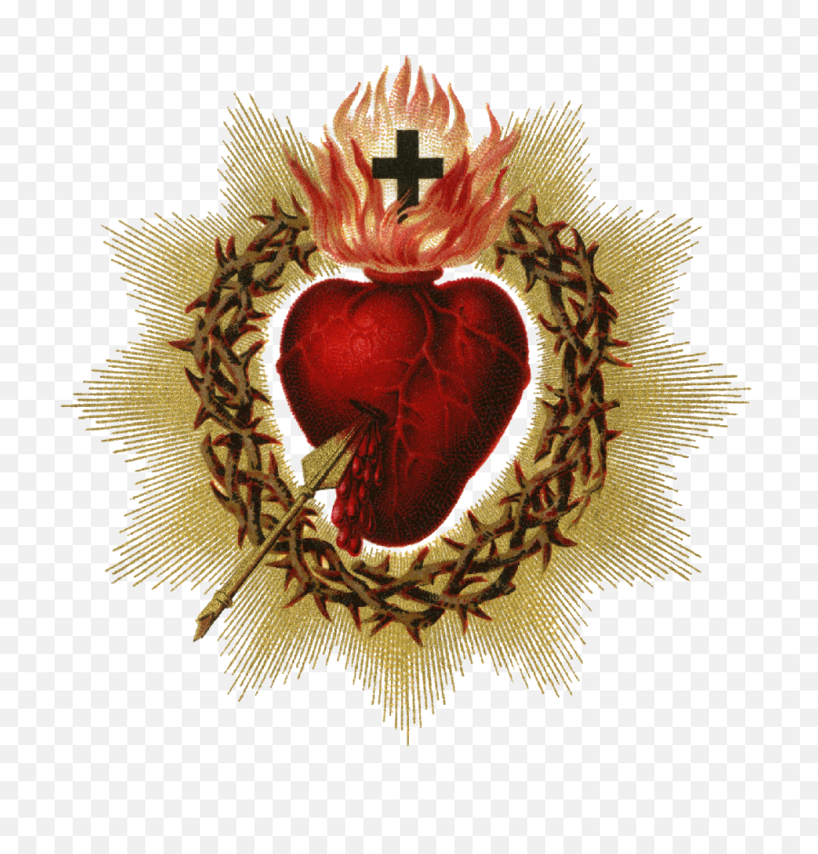 Sacred Heart Pictures - Catholic Sacred Heart Of Jesus Png,Heart Image Png
