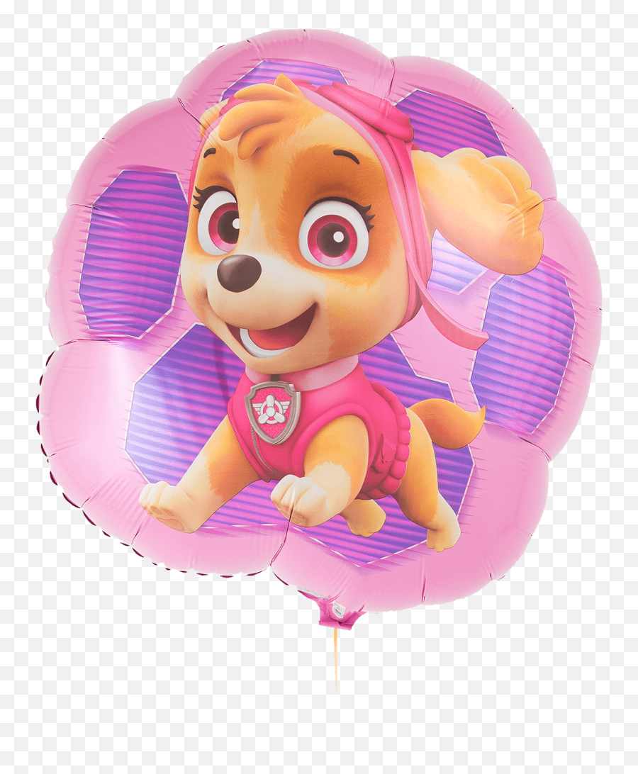 Paw Patrol Sky Everest Supershape Png Skye