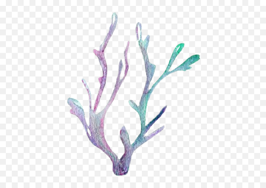 Seaweed Kelp Sea Ocean Coral Corral - Purple Seaweed Png,Seaweed Png