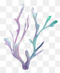 Seaweed Kelp Sea Ocean Coral Corral - Purple Seaweed Png,Seaweed Png