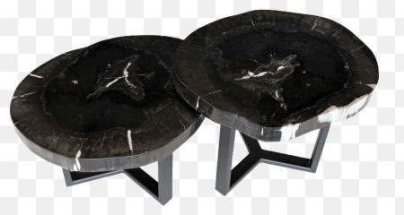 Petrified Wood Coffee Tables Unik Living - Unique Tables Coffee Table Png,End Table Png