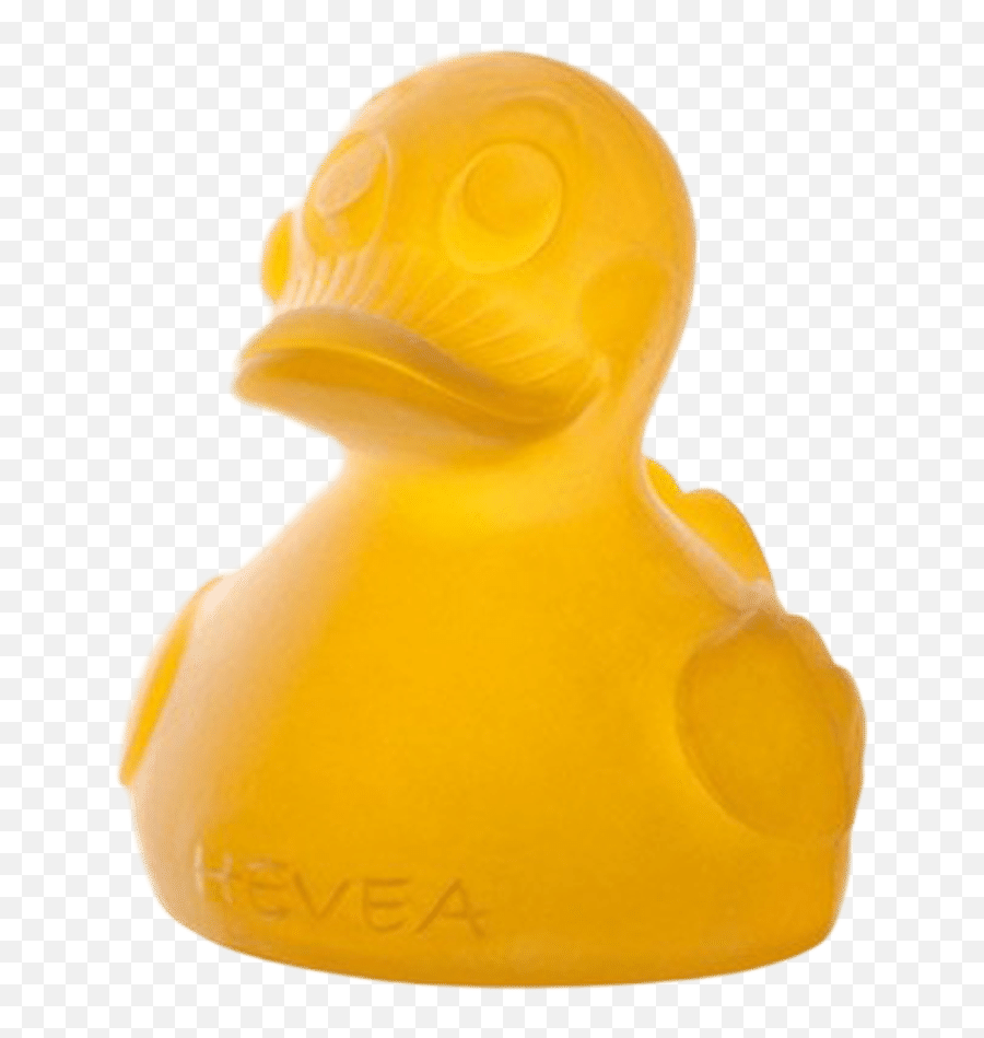 Hevea Alphie Jr Duck - Bath Toy Png,Rubber Duck Transparent