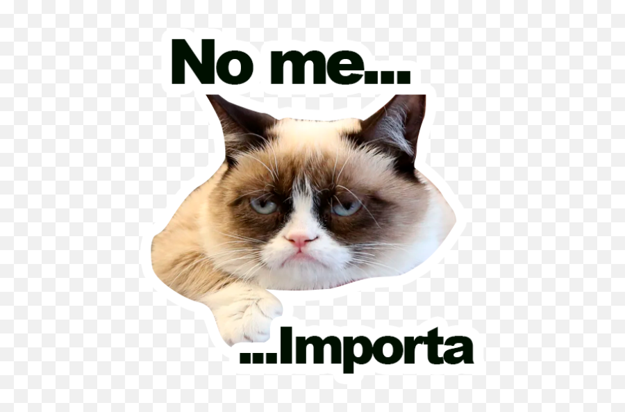Sticker Maker - Grumpy Cat Y Lil Bub Snowshoe Png,Grumpy Cat Png