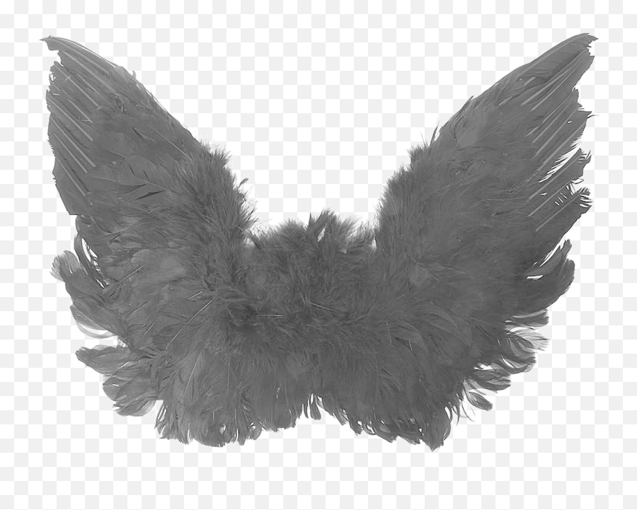 Black Angel Wings Png High - Quality Image Png Arts Black Angel Wings,Angel Wing Png