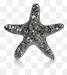 White Starfish Png - Starfish 4453934 Vippng Paperweight,Starfish Png