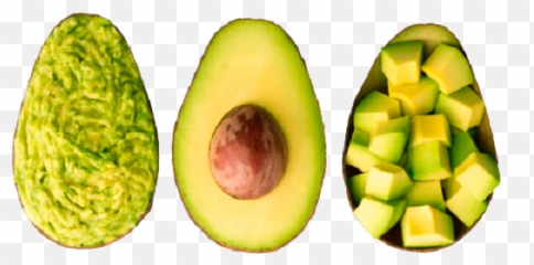 Exotic Tropical Fruits U2013 Frutas Y Pulpa De Congeladas - Veganism Png,Aguacate Png