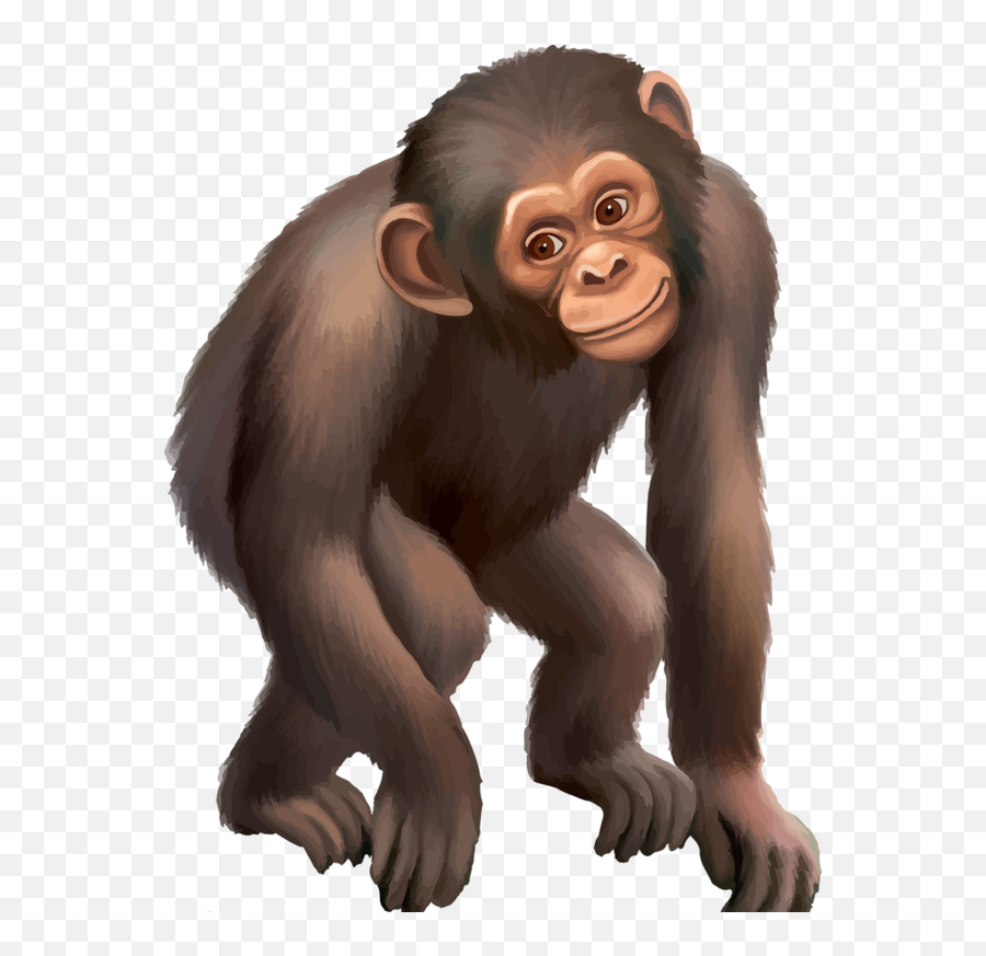 Mindteaser Clipart Chimpanzee - Clipart Chimpanzé Chimpanzee Clipart Png,Chimpanzee Png