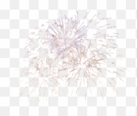 Fireworks Png Images Free Download