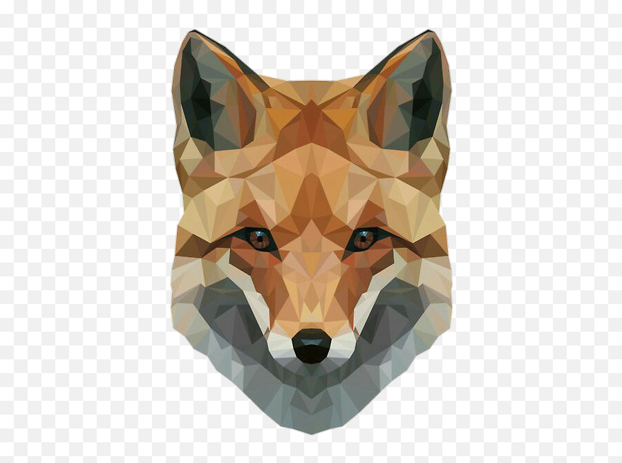 Fox Head - Snow Fox Or Polfox Hd Png Download Original Geometric Fox Head Png,Fox Transparent Background