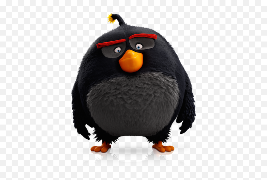 Download Free Evolution Angry Beak Action Epic Birds Penguin - Angry Birds Characters Png,Penguins Icon