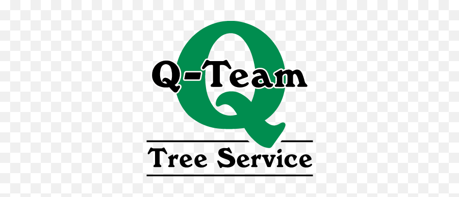 Tree Service Maine - Q Team Png,Q&a Icon Free