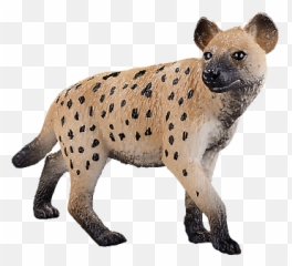 Mojo Hyena Wild Zoo Animals Play Model Figure Toys Plastic - Hyena png