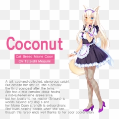 Nekopara Vol1 - Nekopara Coconut Cosplay Shoes png