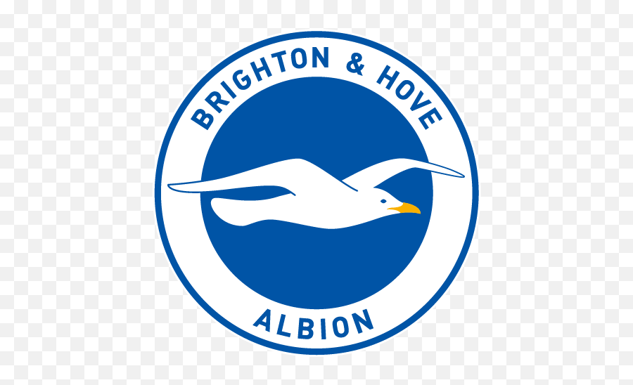 Official Licenses - Murwalls Brighton And Hove Albion Png,Netflix Raccoon Icon
