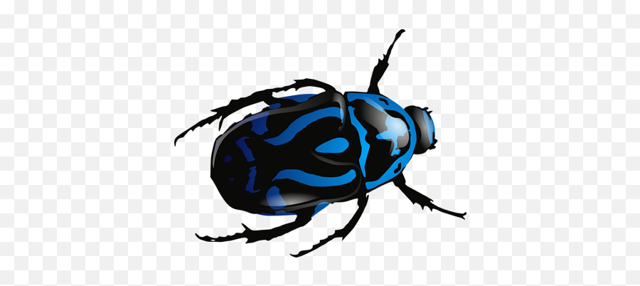 Download Free Pest Bug Bed Hq Image Icon Favicon - Beetle Clipart Png,Pest Icon