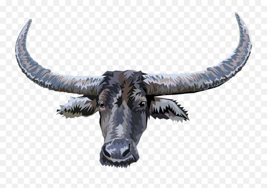 Animal Head Buffalo - Free Vector Graphic On Pixabay Animal Head Buffalo Png,Animal Head Png