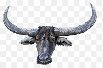 Animal Head Buffalo - Free vector graphic on Pixabay png
