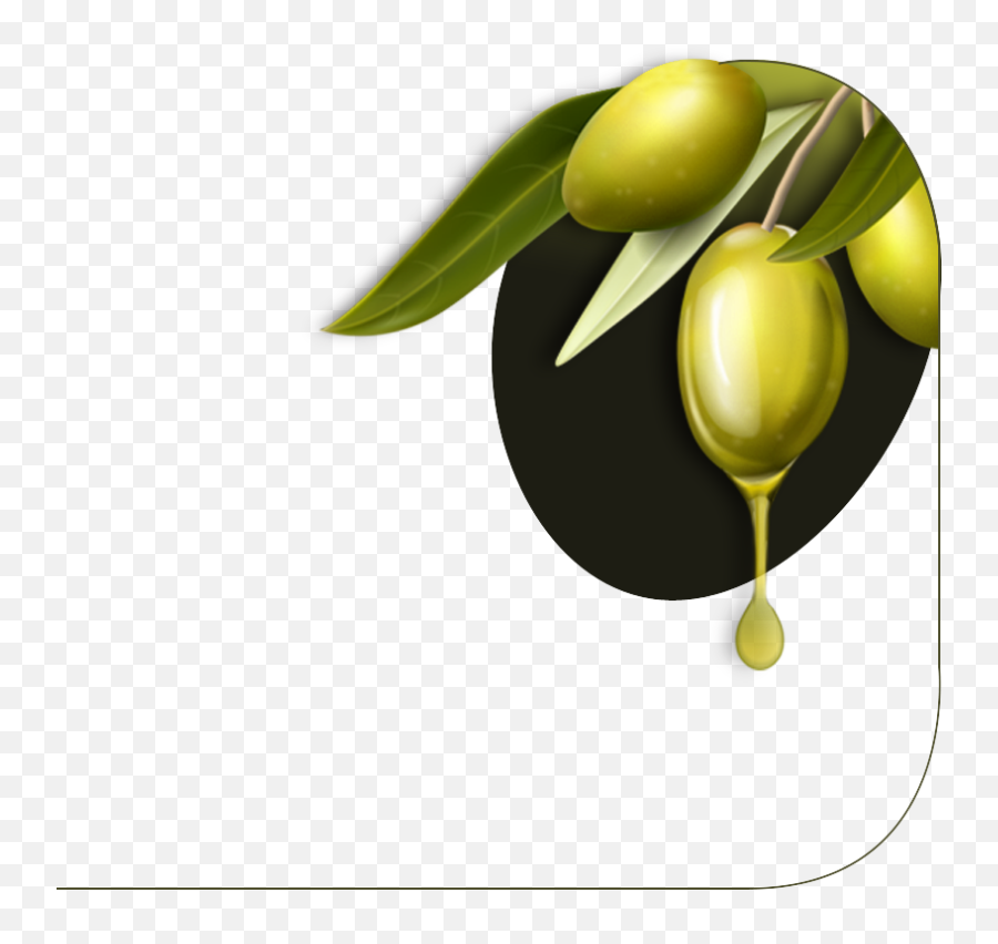 Olivna Huile Du0027olive Tunisie Dolivehuile Dolive Bio - Olive Png,Oil Drop Png
