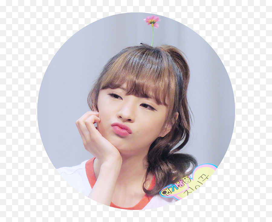 Oh My Girl U2022 Official Thread U003eu003c Page 60 - Girl Png,Oh My Girl Logo