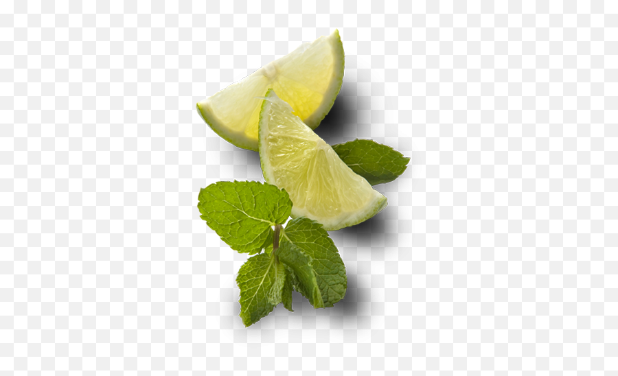 Index Of Fmkickstrapimgproducts - Png Lime Mint,Mint Leaf Png
