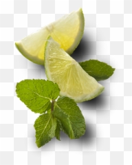 Index Of Fmkickstrapimgproducts - Png Lime Mint