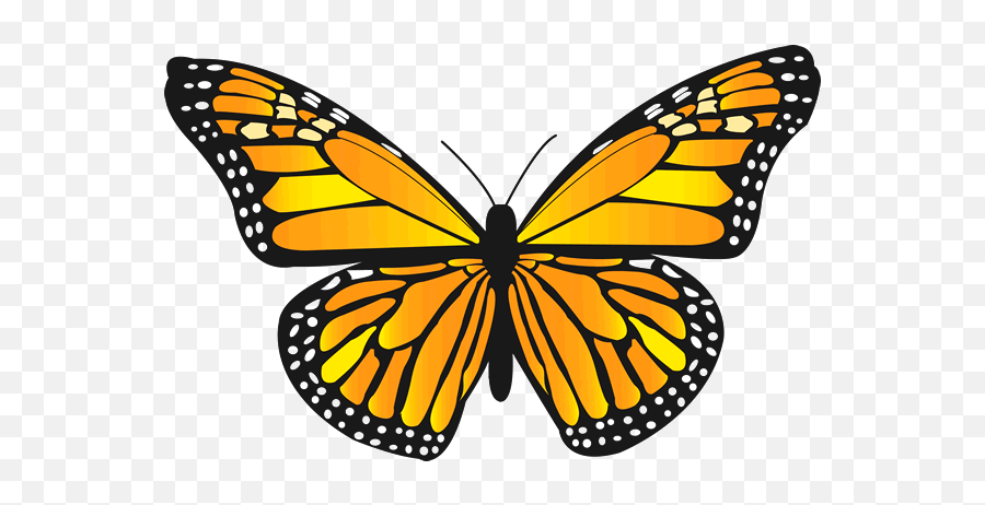 Monarch Butterfly Png Image - Purple Butterfly Clip Art,Monarch Butterfly Png