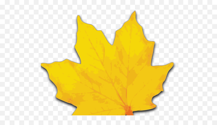 Maple Leaf Svg Clip Arts Download - Download Clip Art Png Maple Leaf Clip Art,Maple Leaf Png