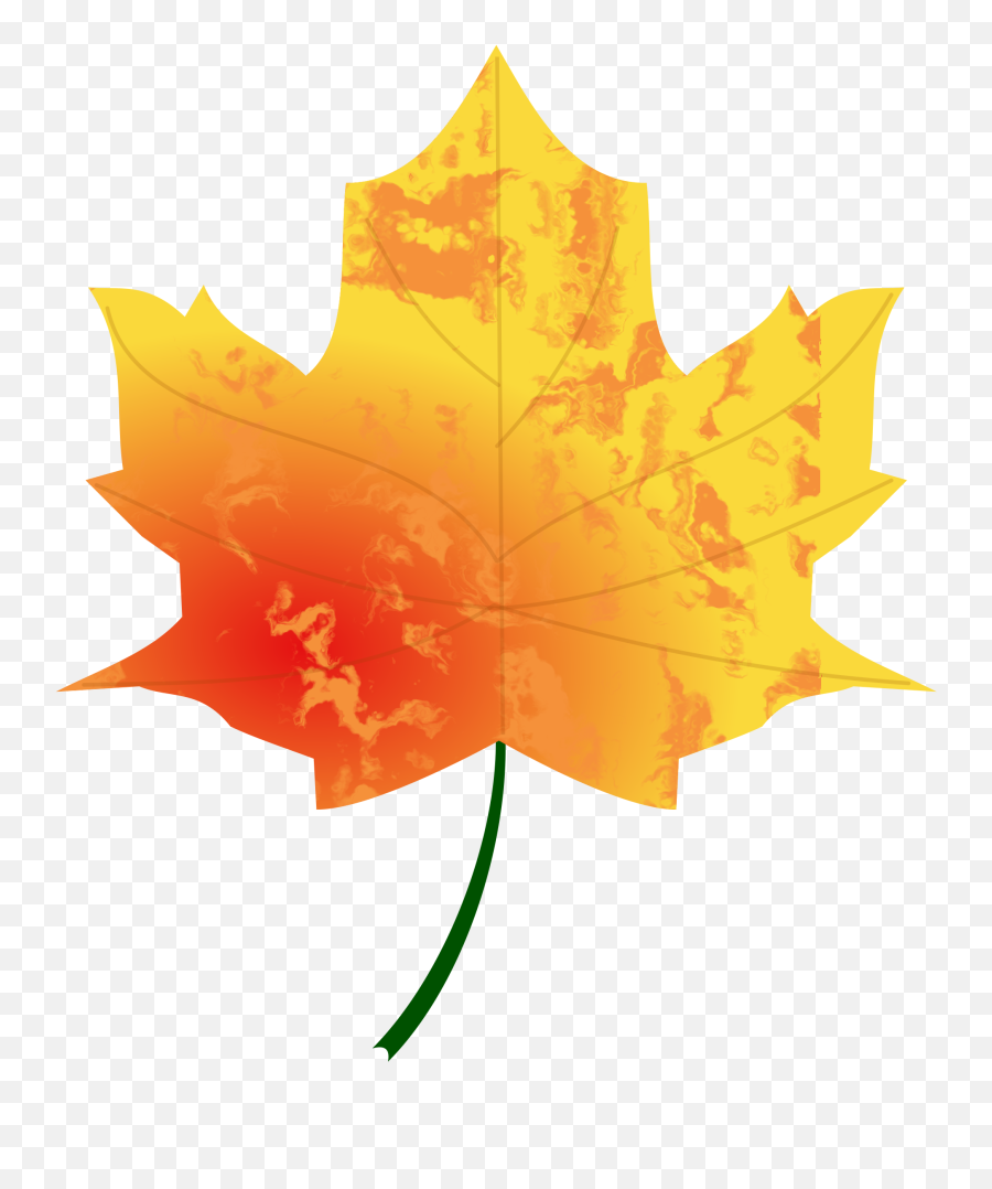 Fall Leaf Png Images Collection For Free Download Llumaccat Autumn Leaves