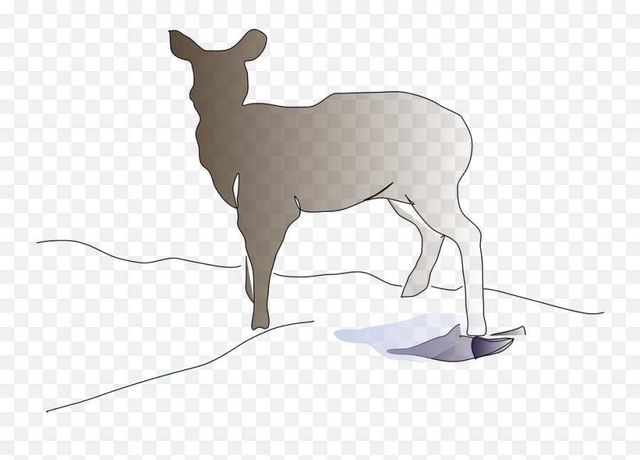 Deer Animal Mammal - Free Vector Graphic On Pixabay Deer Png,Buck Png