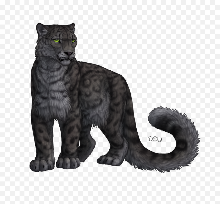 Download Free Png Panther Transparent Images - Dlpngcom Black Panther And Snow Leopard,Panther Transparent