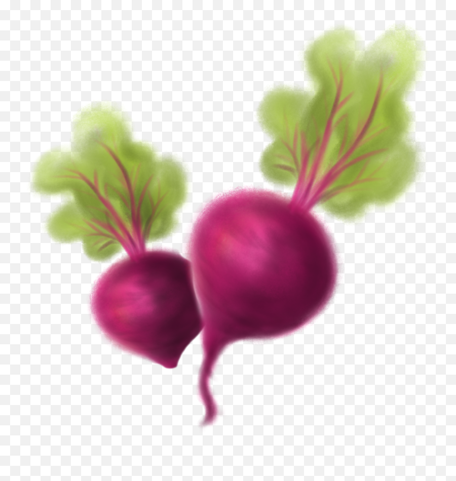 Beets Png - Beets Clipart Transparent Background,Beet Png
