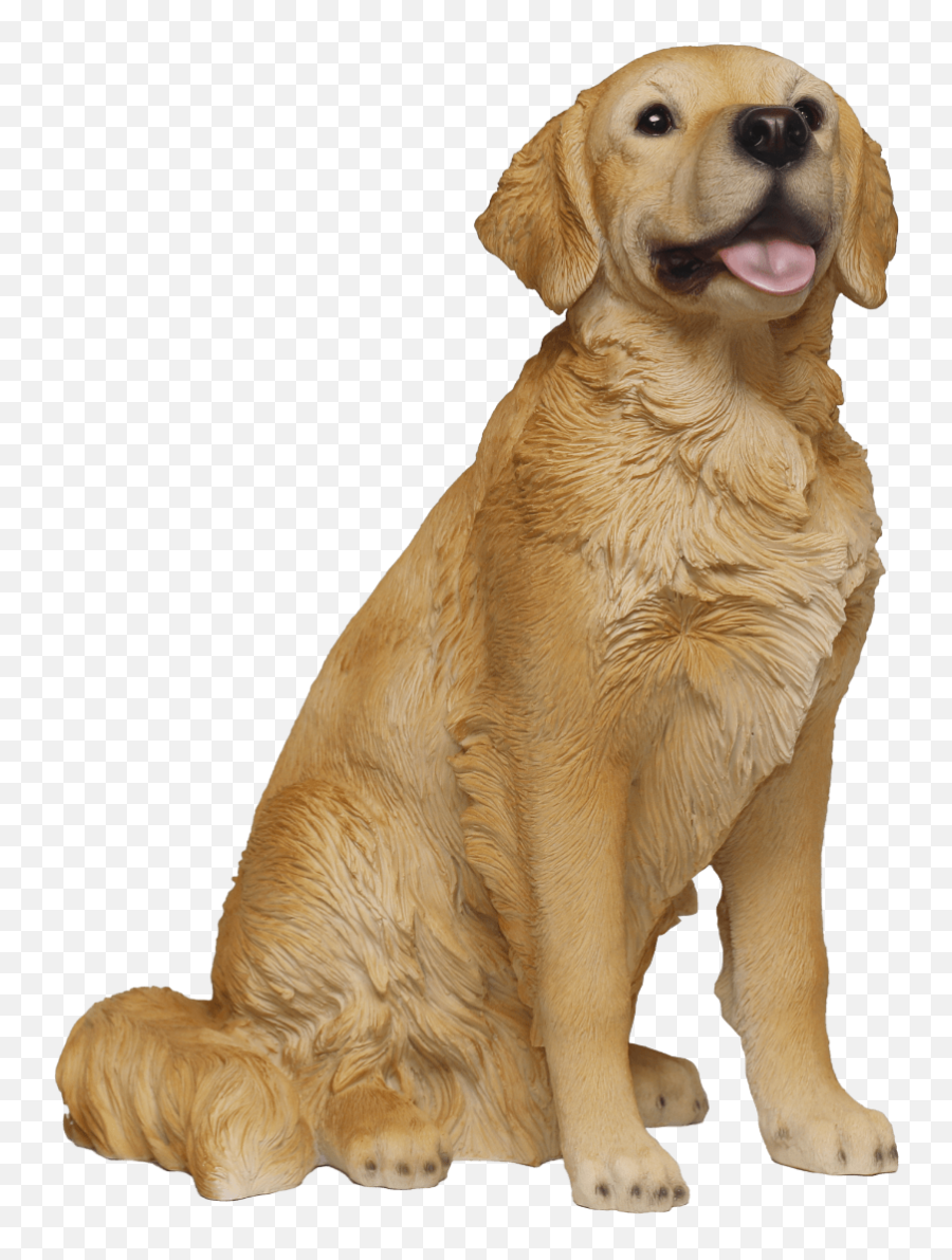 Golden Retriever With Glasses Dogs Png - Labrador Retriever,Golden Retriever Transparent