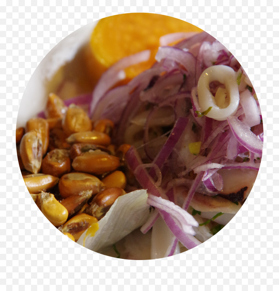 About Us U2014 Viva Restaurant - Red Onion Png,Ceviche Png