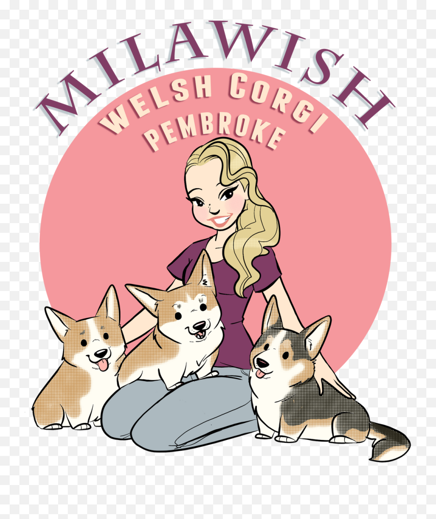 Welsh Corgi Pembroke Milawish - Pembroke Welsh Corgi Png,Corgi Png