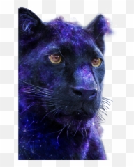Panthers Sticker By Stella96luna - Black Panther png