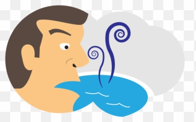 Download Pool Water Chemistry Lesson - Illustration Png,Pool Water Png