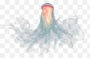 Download Gran Medusa Transparent Png - Jellyfish With No Background,Medusa Png