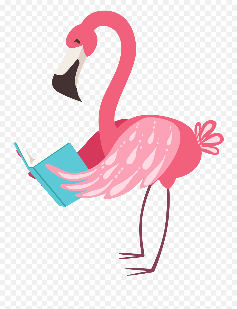2x - Flamingo Reading A Book Png,Flamingo Clipart Png
