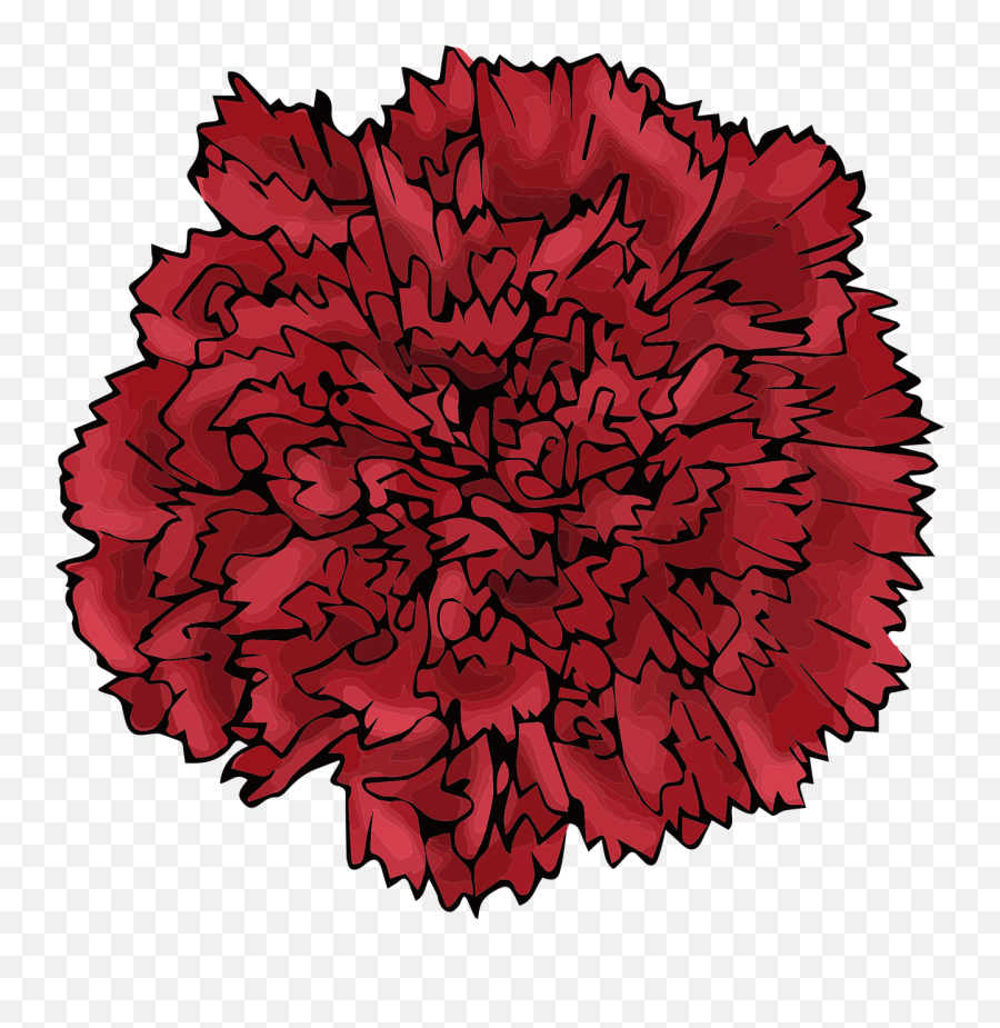Red Flower Carnation - Free Vector Graphic On Pixabay Pink Png,Carnation Png