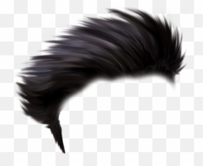 Hair Png For Picsart Latest Collection - Editing Picsart Hair Png,January Png