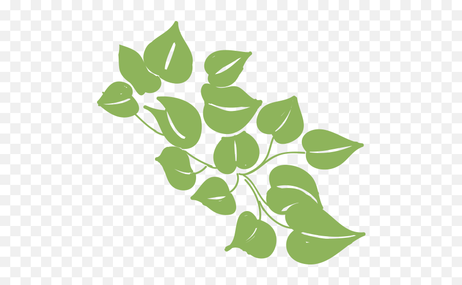 Why Choose Ivy Knoll Caring Senior Community - Nature Vector Frame Png,Ivy Transparent