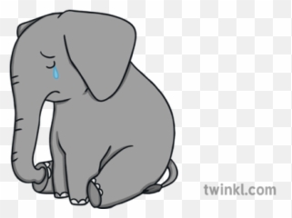Sad Orphan Elephant Phonics Eyfs Illustration - Twinkl Sad Elephant Illustration Png,Elephant Head Png
