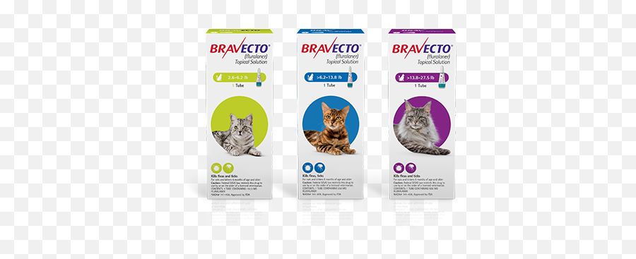 Testimonials - Proven Flea U0026 Tick Medicine Bravecto Bravecto Feline Png,Cat Icon Set