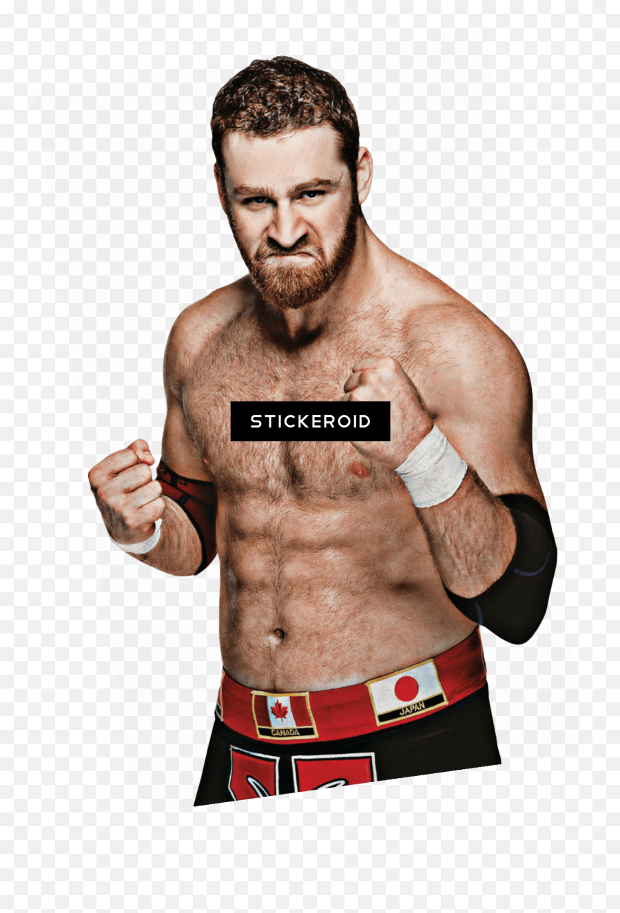 Jada Toys Wwe Wrestling Nano Metalfigs - Sami Zayn Png,Sami Zayn Png