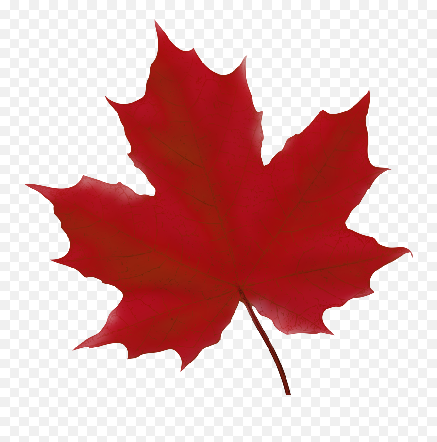 Leaf Clipart Library Download Png Files - Green Maple Leaf Clipart,Canada Maple Leaf Png