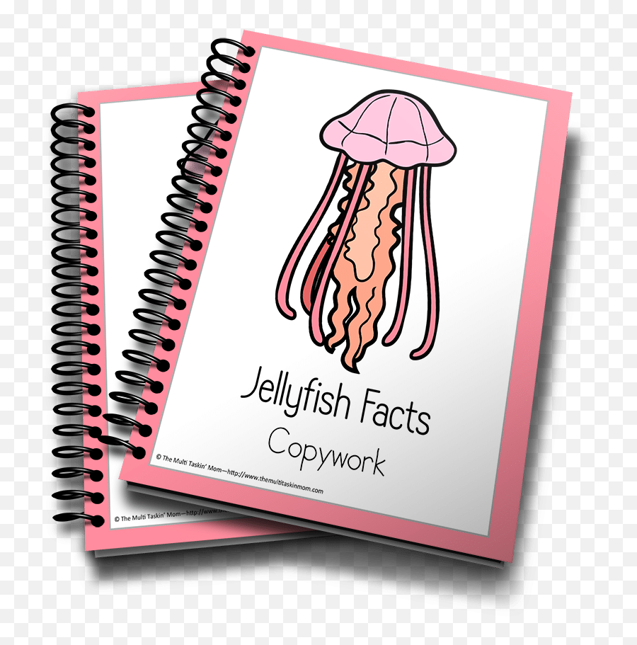 Jellyfish Color And Copywork - Homeschool Printables Caderno Do Neymar Tilibra Png,Transparent Jellyfish
