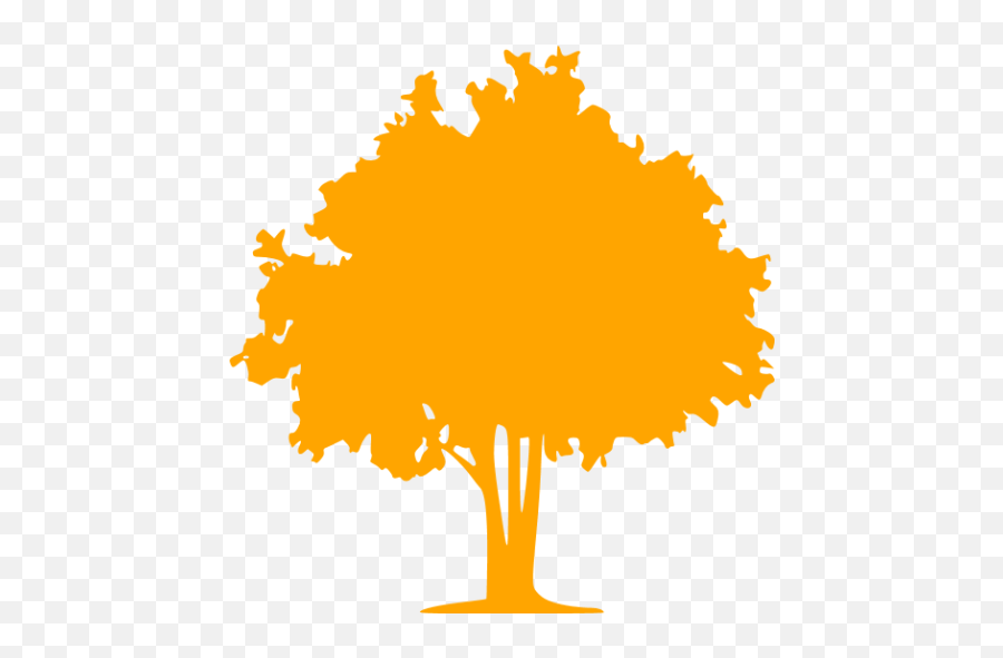 Orange Tree 32 Icon - Free Orange Tree Icons Coniferous Vs Deciduous Trees Png,Orange Tree Png